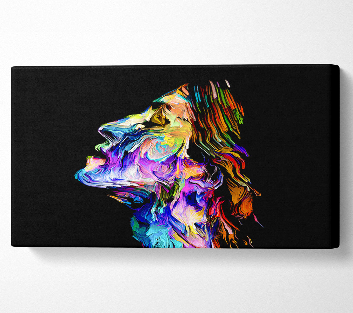 The Face Of Colour Canvas Wall Art