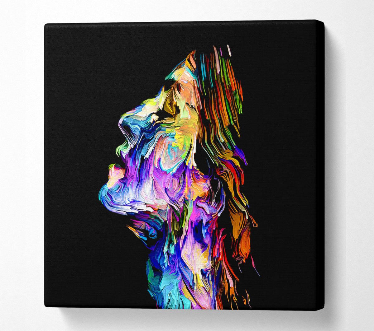 The Face Of Colour Canvas Wall Art