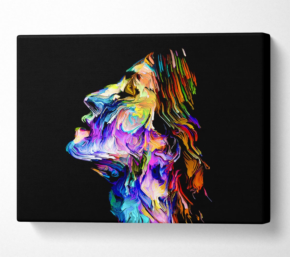 The Face Of Colour Canvas Wall Art
