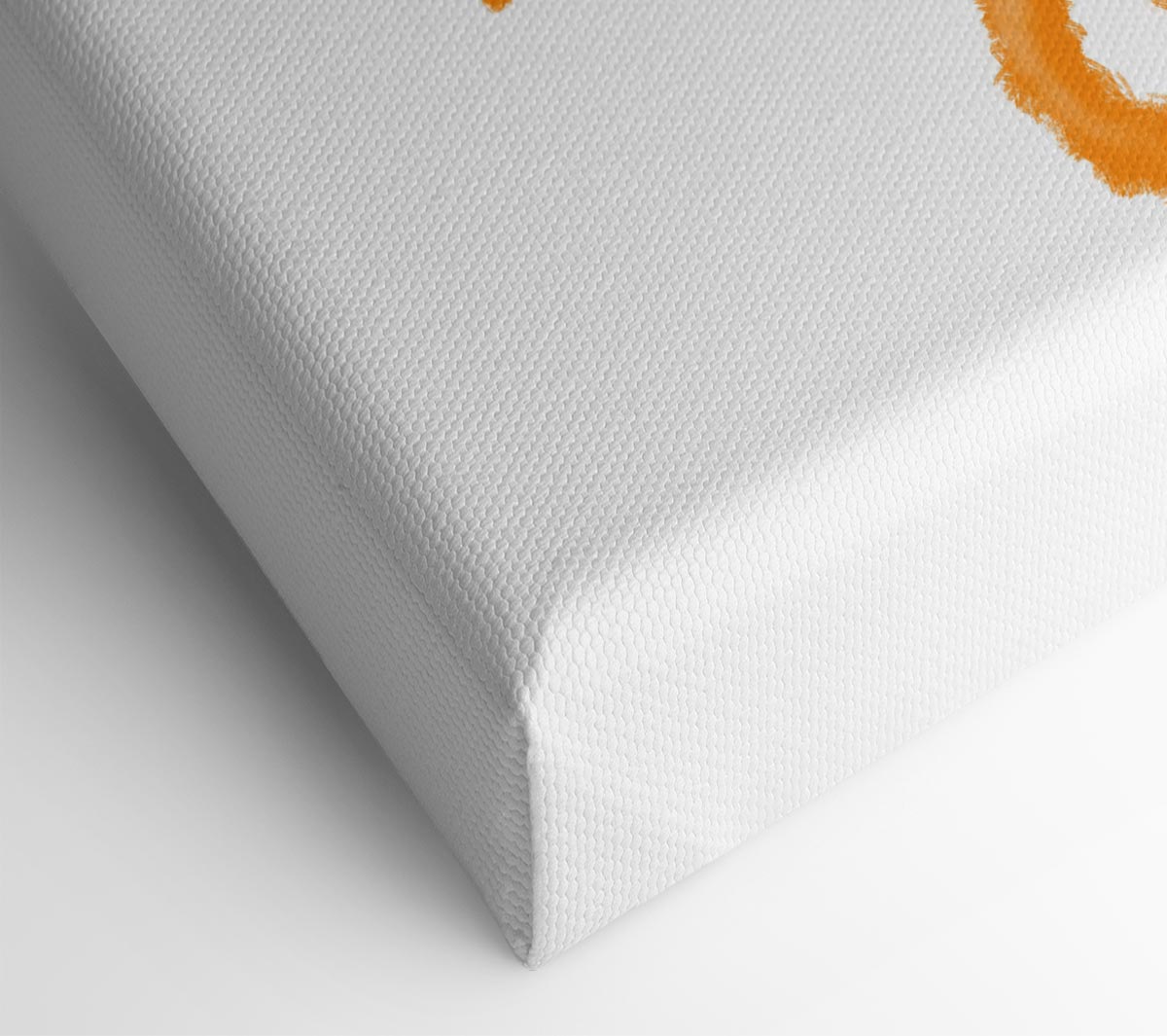 The Love Heart Orange Cat Canvas Wall Art