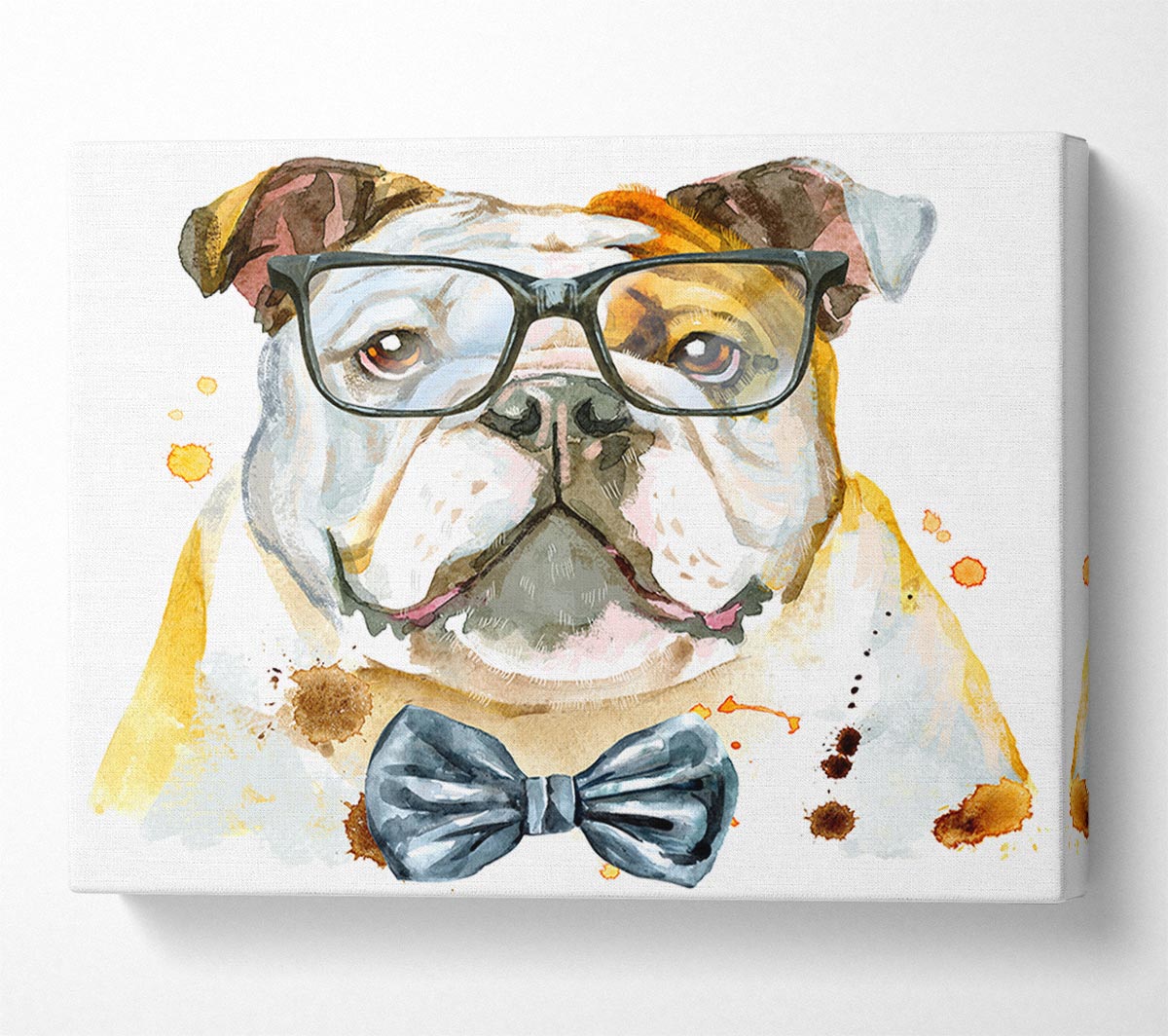 The Bulldog With Glasses Canvas Wall Art