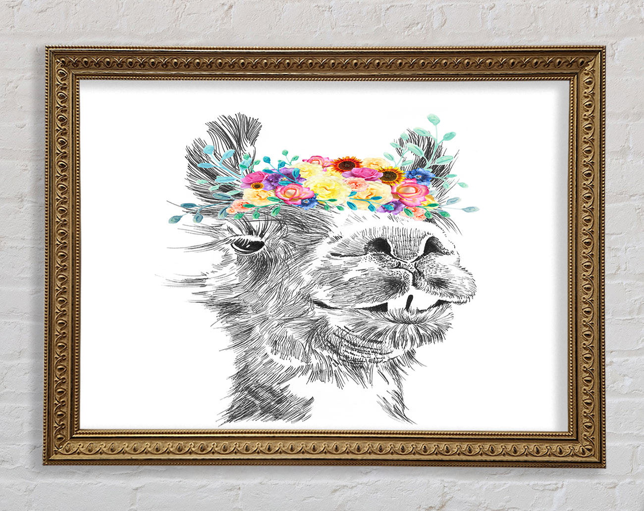 The Pretty Camel Framed Print