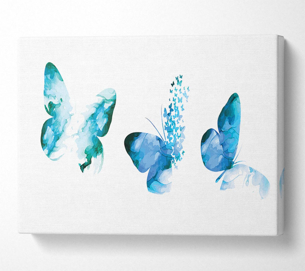 A Trio Of Blue Butterflies Canvas Print