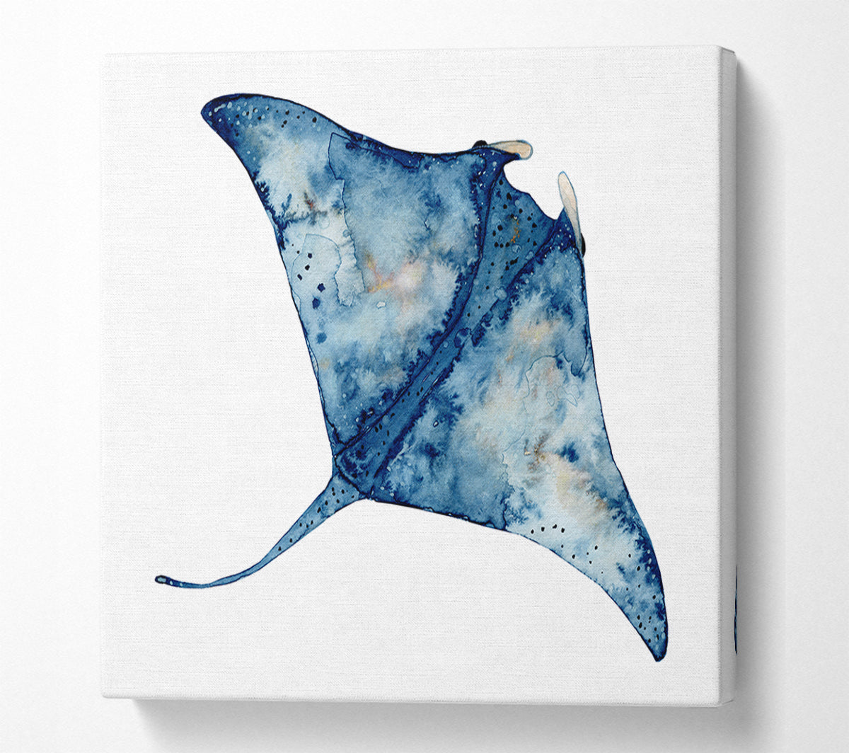The Mantaray Canvas Wall Art