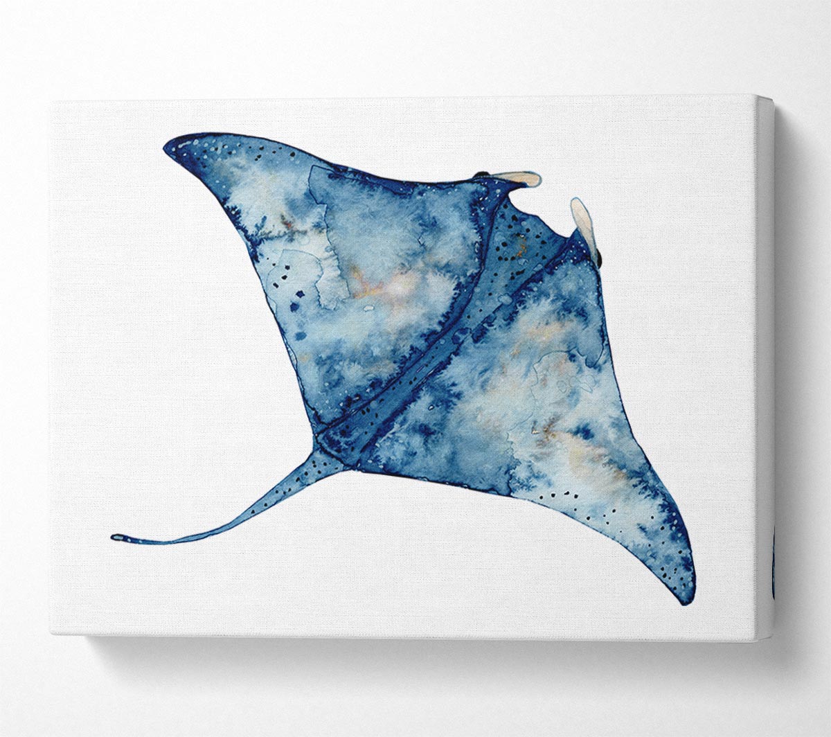 The Mantaray Canvas Wall Art
