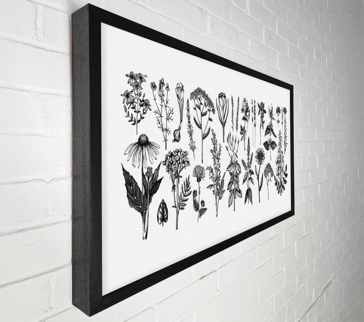The Small Plant Collection 2 Canvas Wall Art