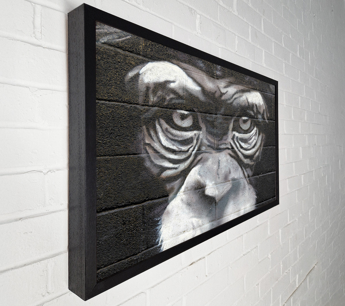 The Chimp Eyes Canvas Wall Art