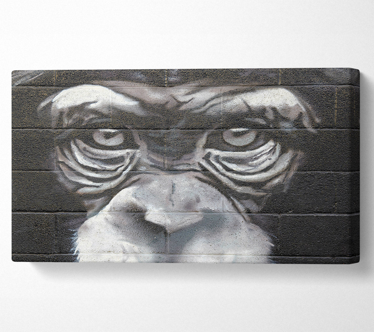 The Chimp Eyes Canvas Wall Art