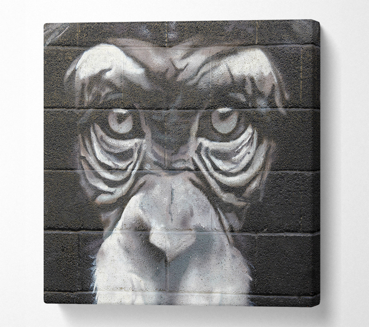 The Chimp Eyes Canvas Wall Art