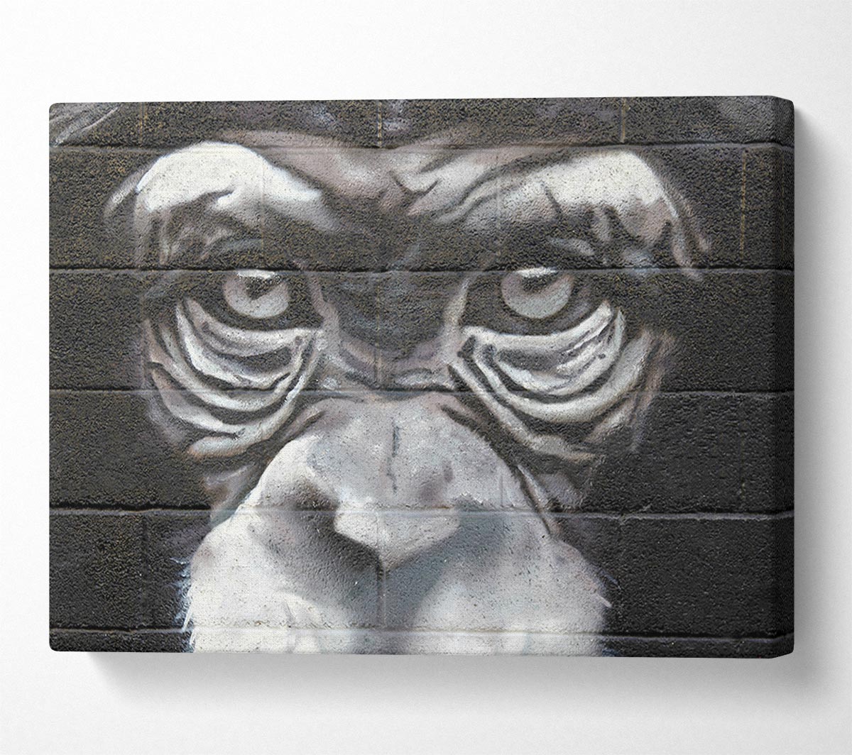 The Chimp Eyes Canvas Wall Art