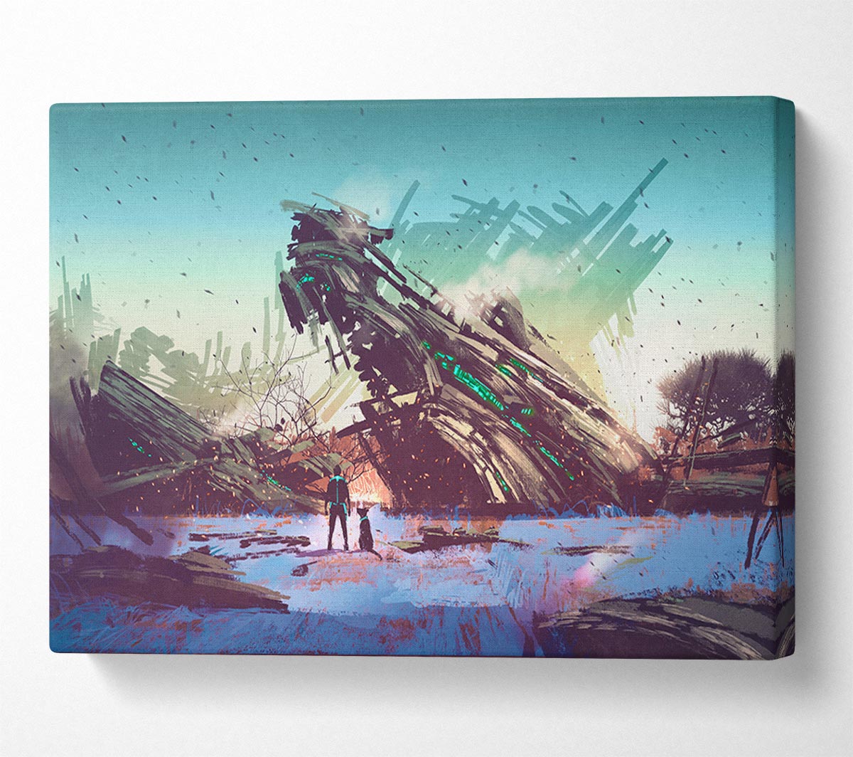 A Huge Ship Wreck Canvas Print