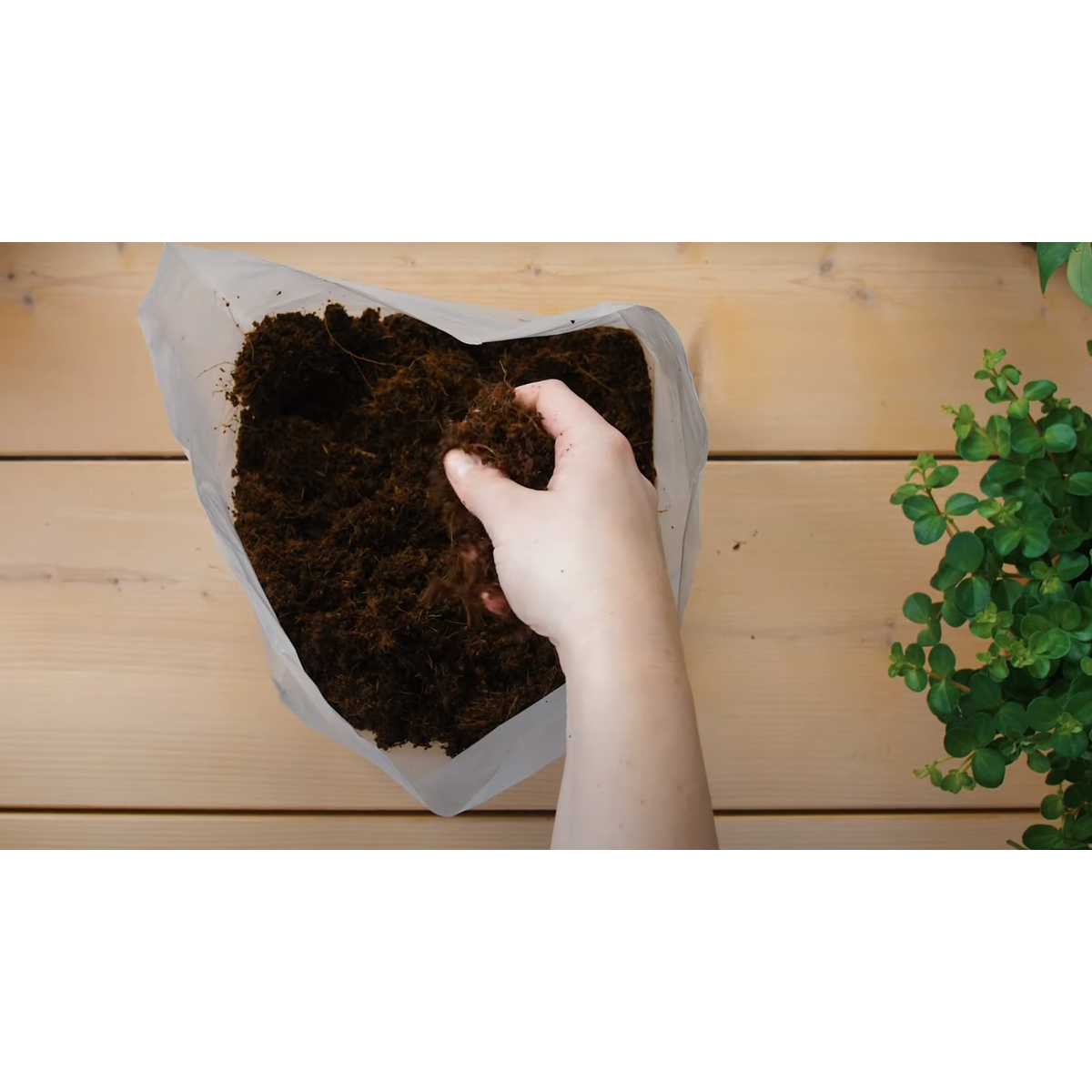 Pokon potting soil Compact - Coconut soil - Home and Garden - 50 liters
