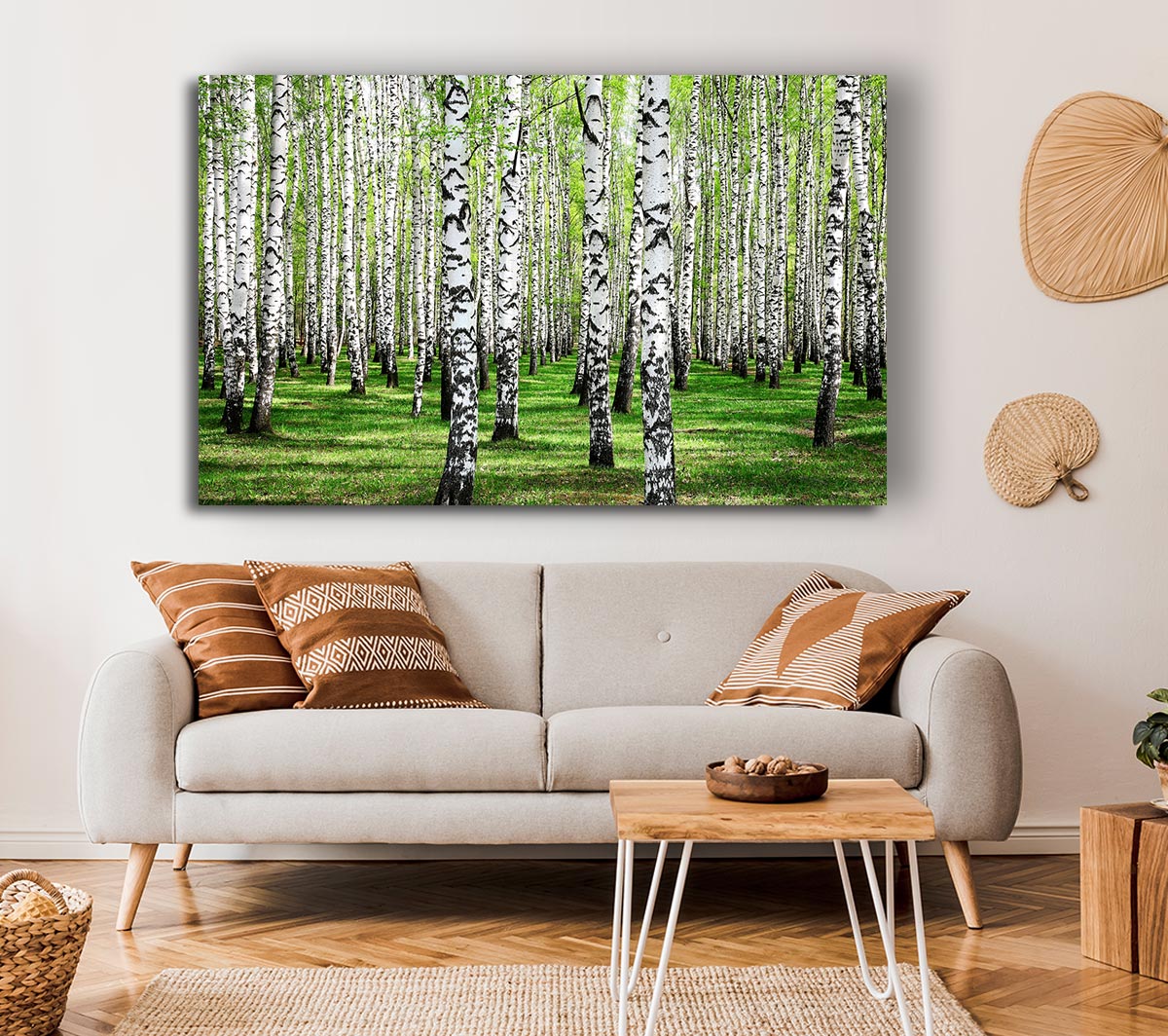 Silver Birch Beauty Canvas Wall Art