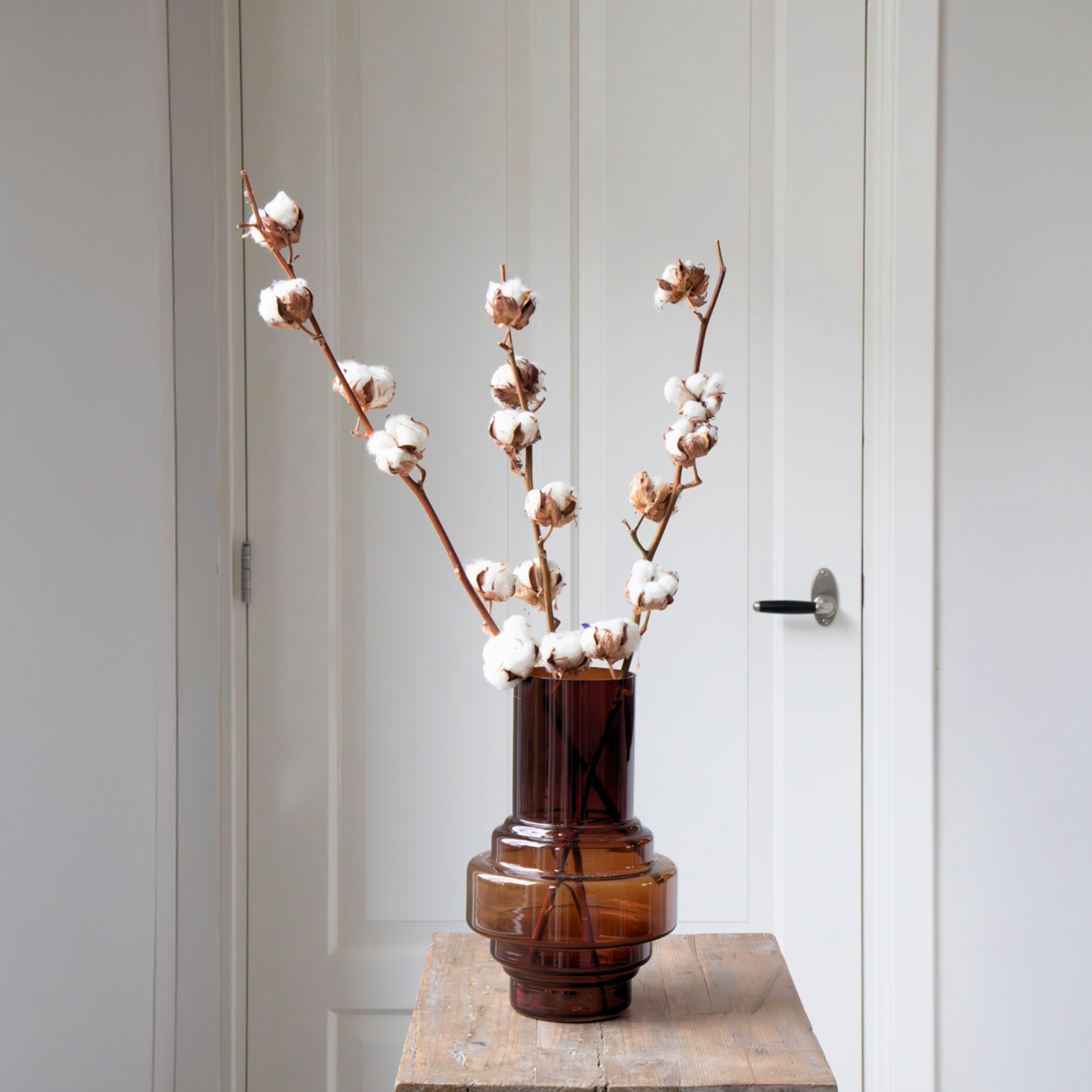 Dried flowers - 3 pcs. - Bouquet 'Cotton branch' - Dryflowers