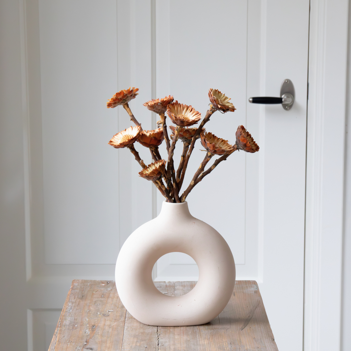 Dried flowers - 10 pcs. - Bouquet 'Protea Compacta' - Dryflowers