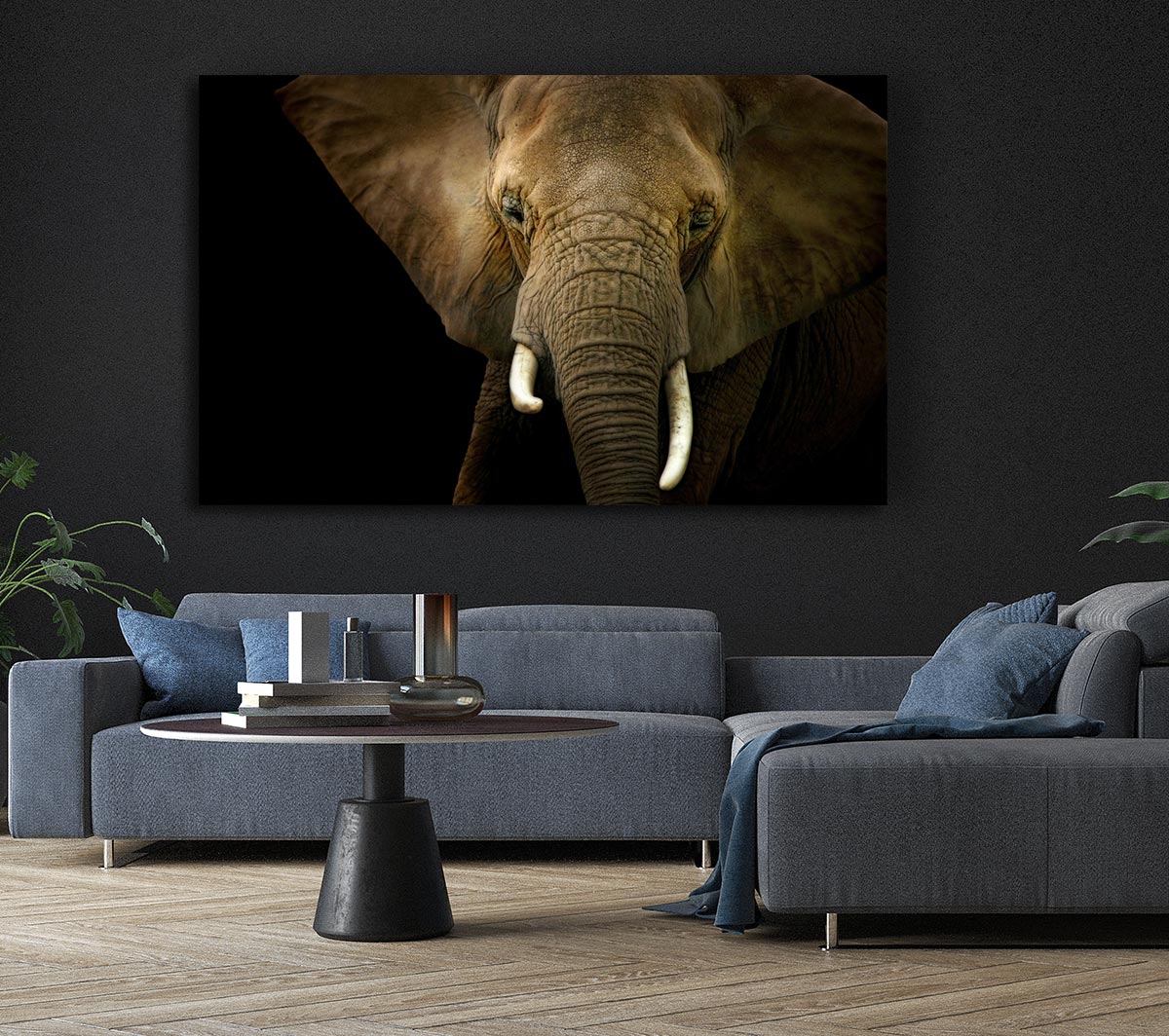 Stunning Elephant Face Canvas Wall Art