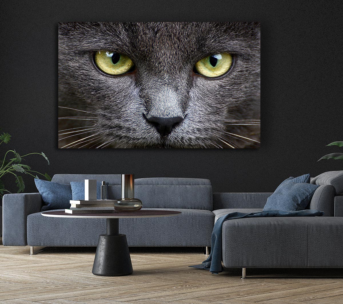 Smokey Grey Cat Canvas Wall Art