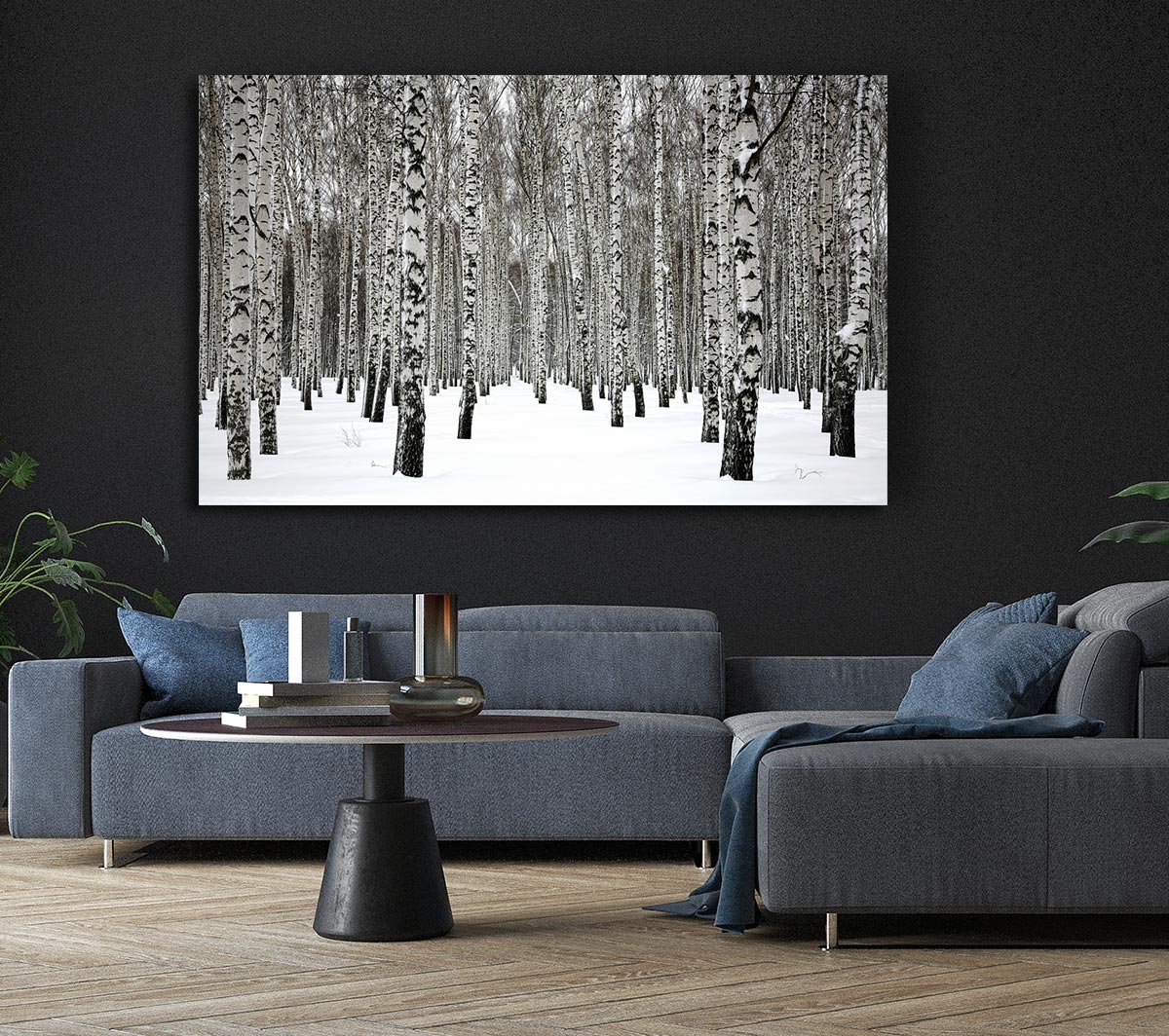 Silver Birch Trees In The Snow Canvas Wall Art