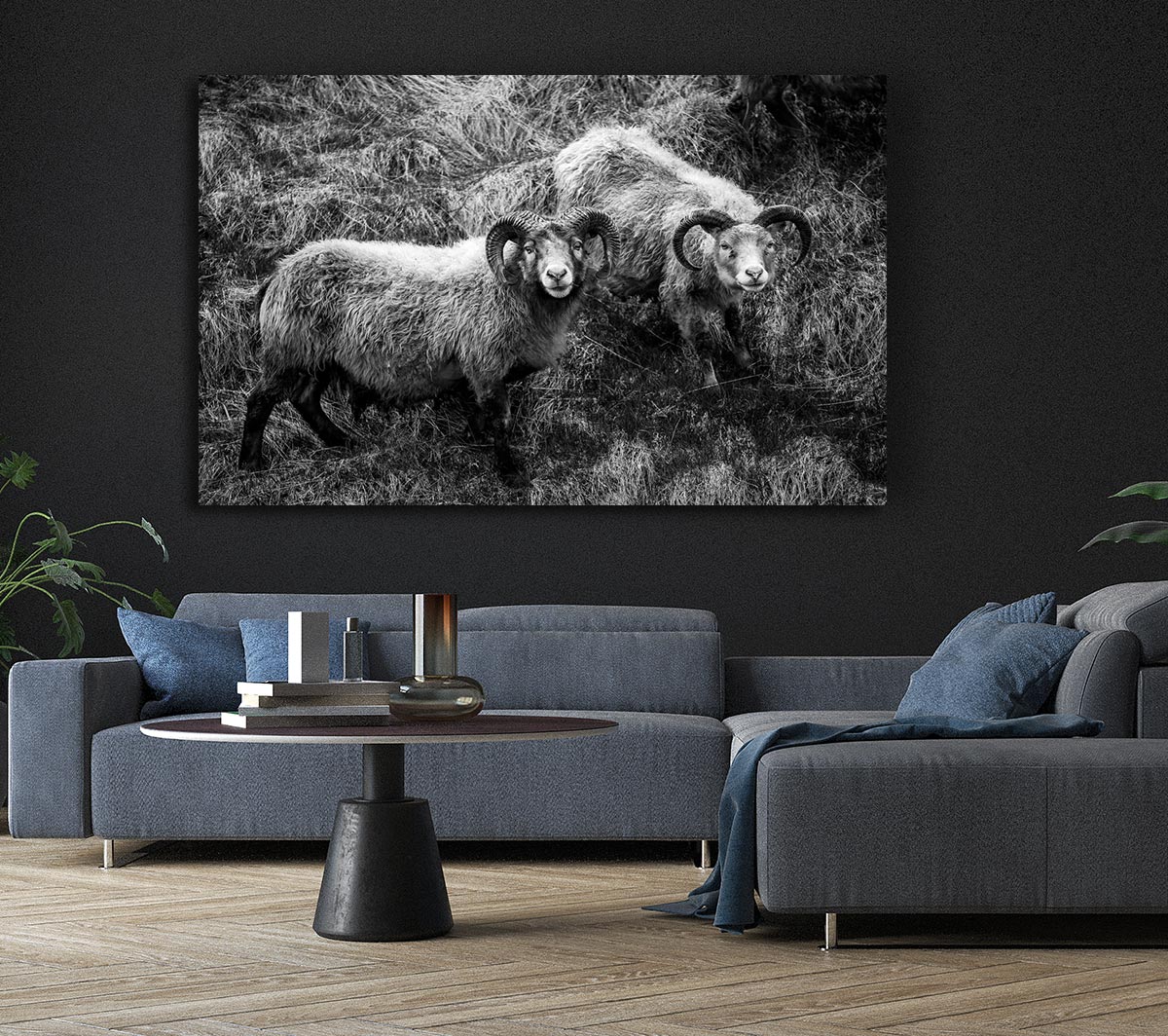 Ram Duo Canvas Wall Art