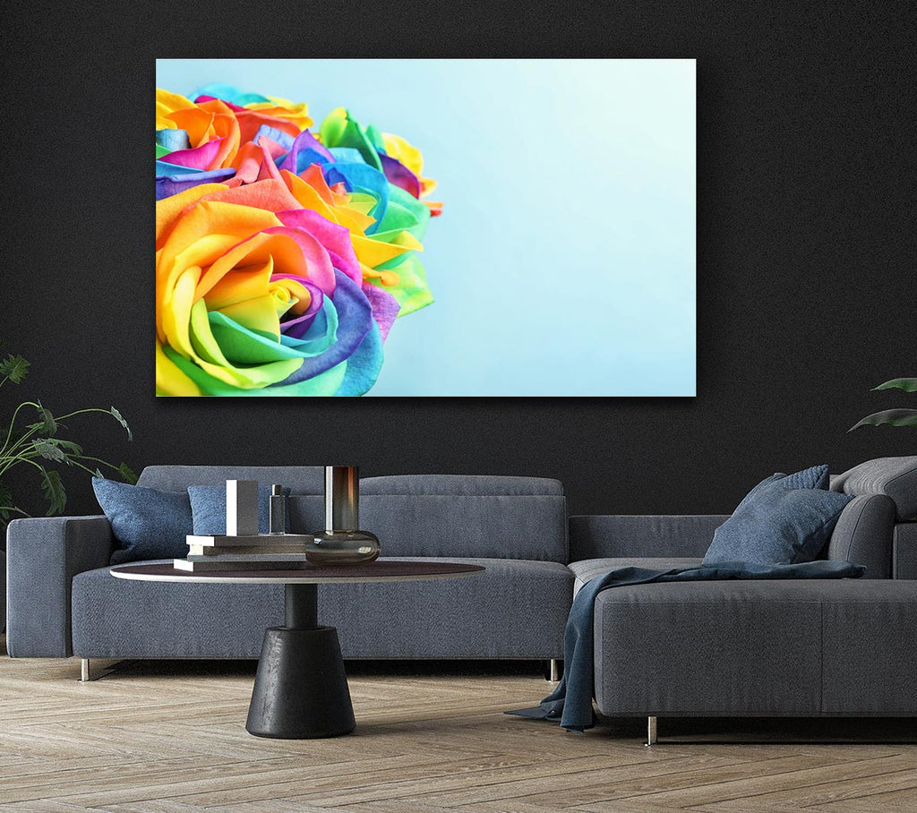 Rose colour rainbow Canvas Wall Art