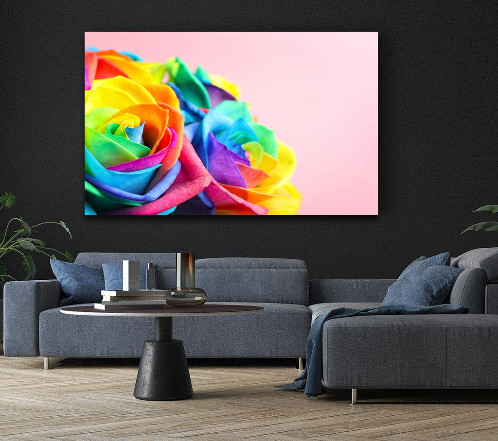 Rainbow closeup rose Canvas Wall Art