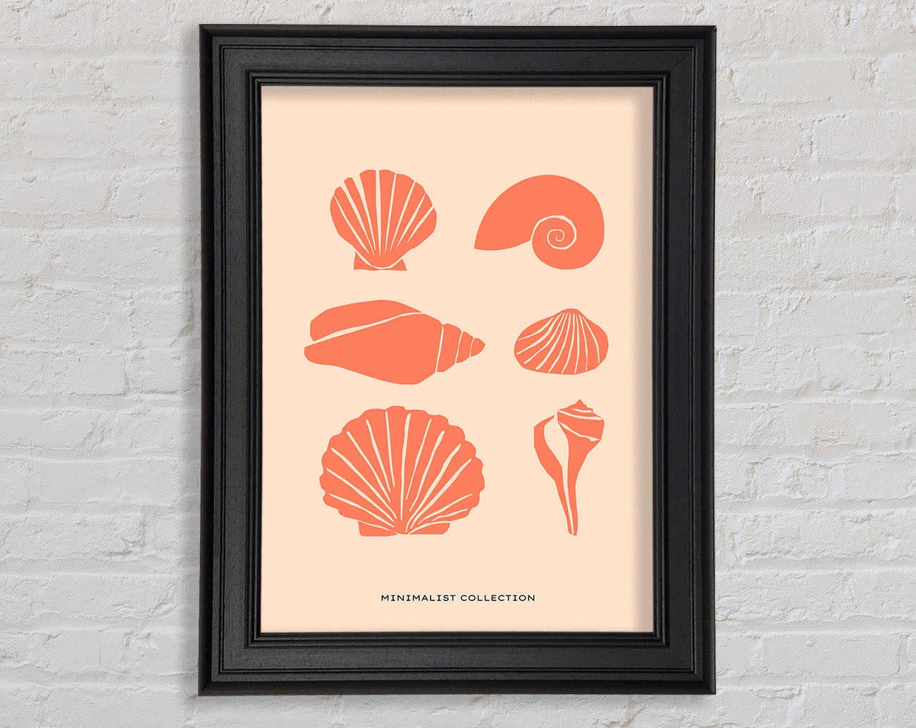 A Shell Collection Framed Print