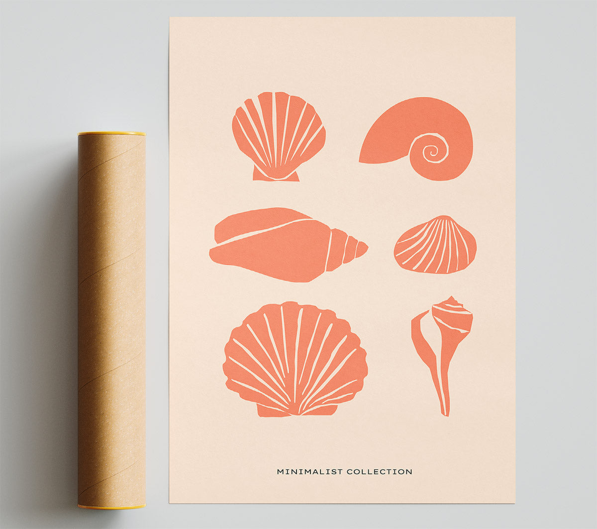 A Shell Collection Print