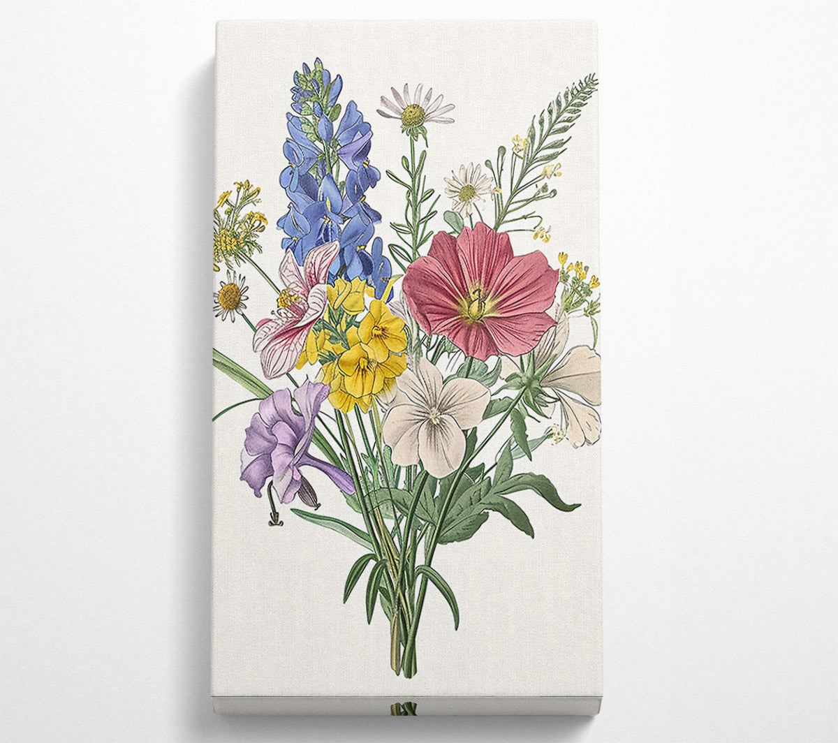 Flower Garden Foxglove Canvas Print