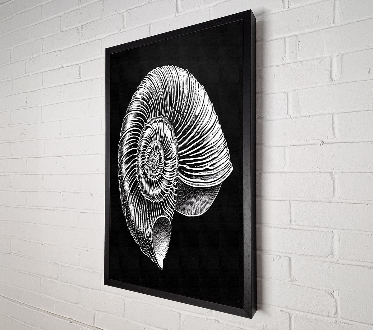 White Spiral Shell Canvas Wall Art