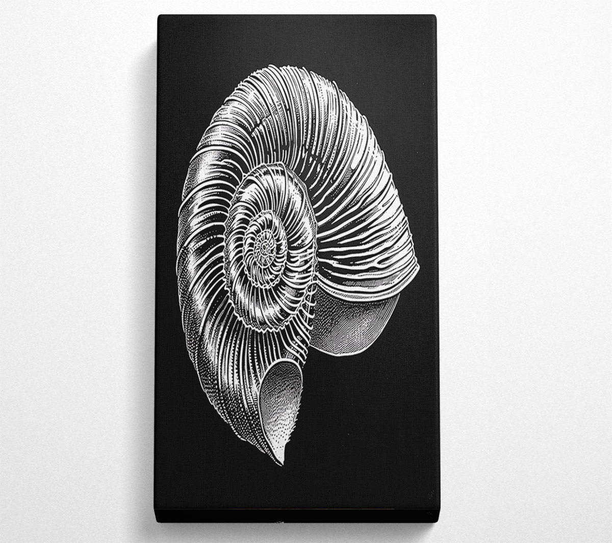 White Spiral Shell Canvas Wall Art