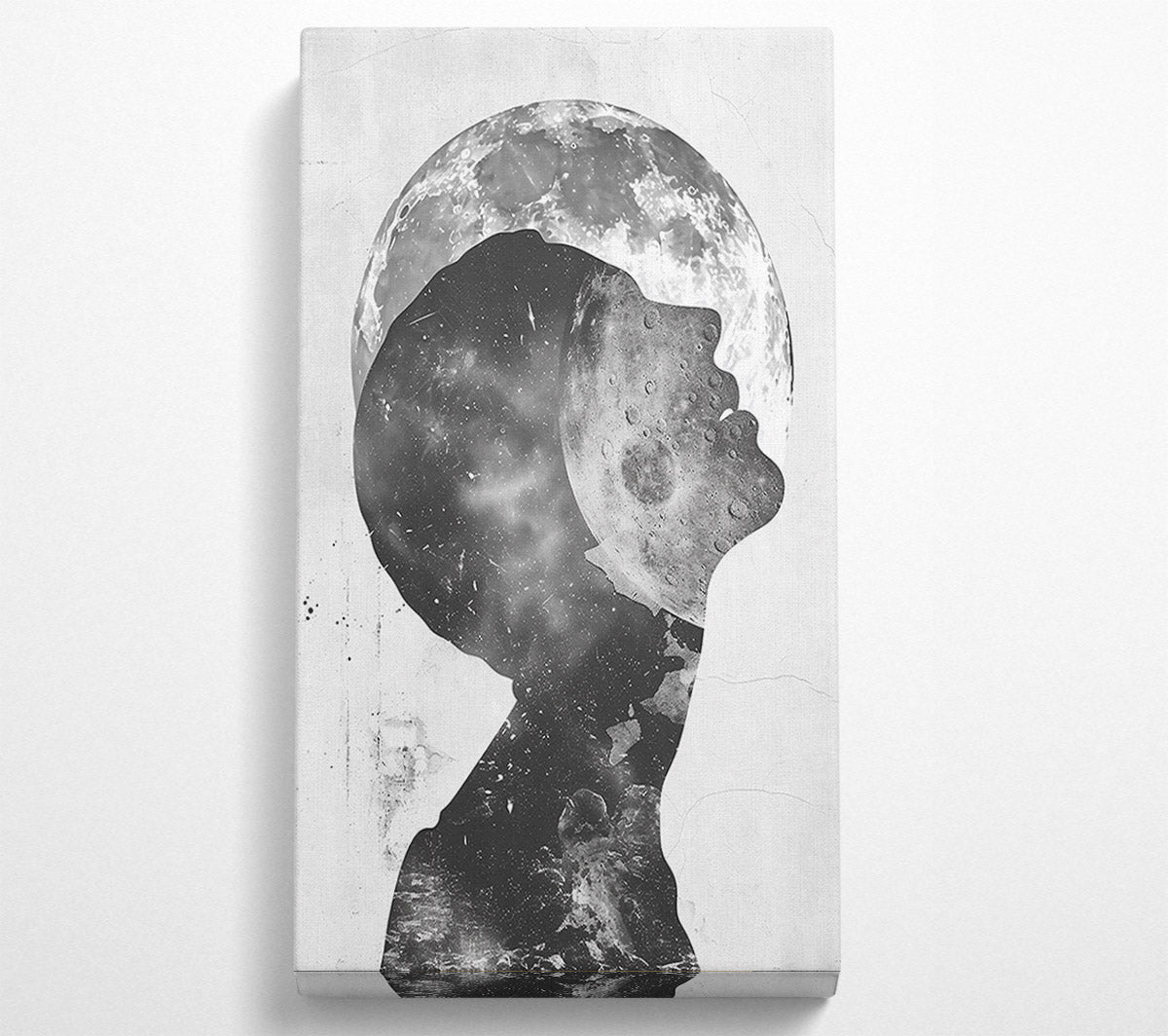 Silver Lunar Dream Canvas Wall Art