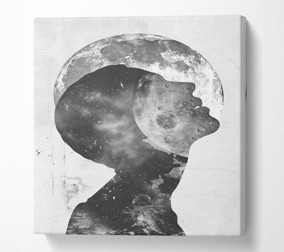 Silver Lunar Dream Canvas Wall Art