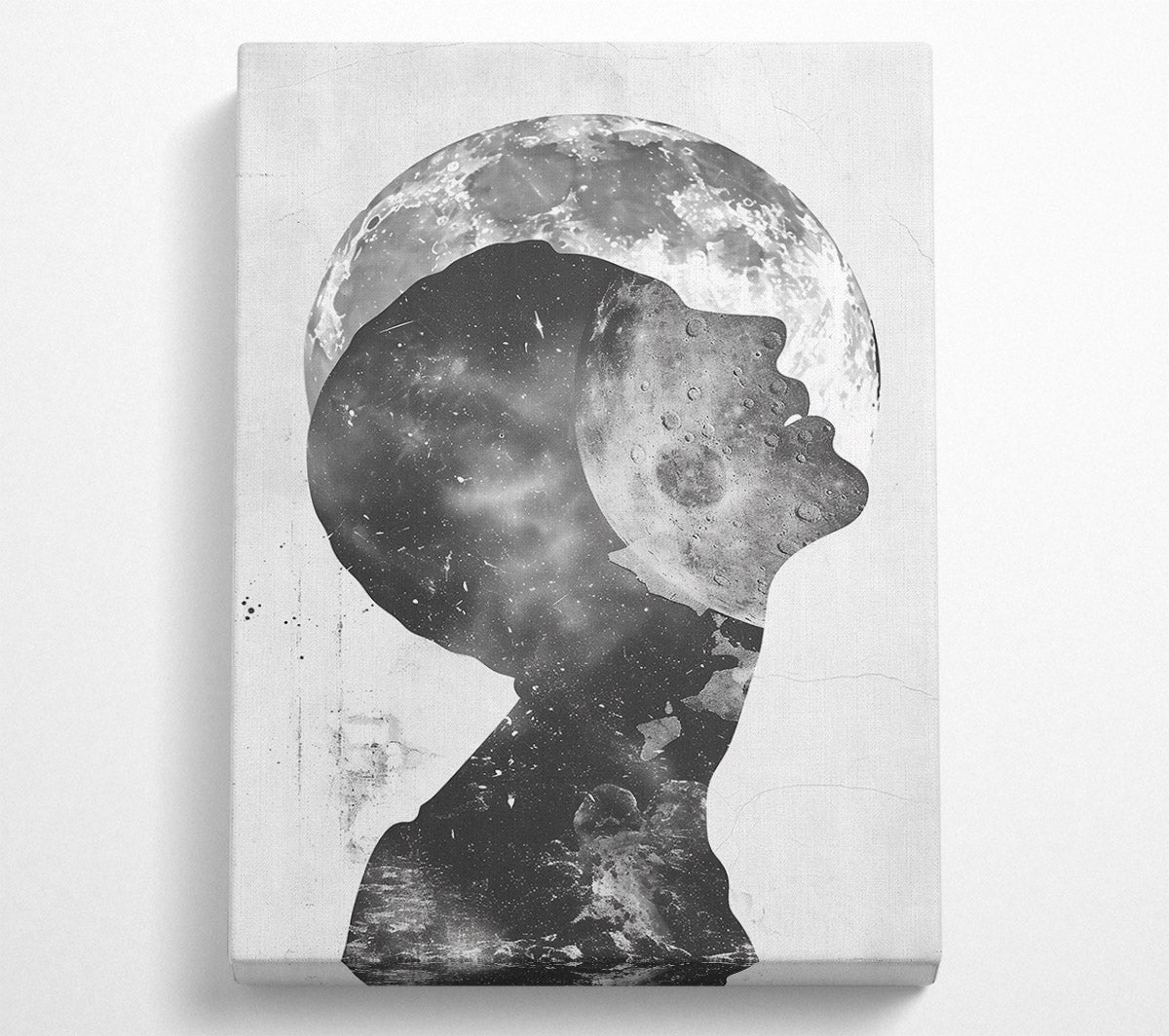 Silver Lunar Dream Canvas Wall Art