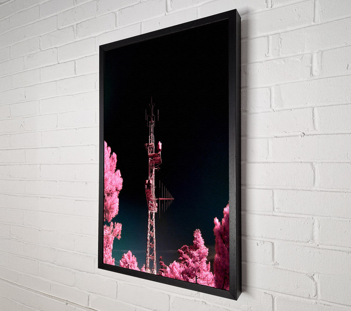 Pink Antenna Forest Canvas Wall Art
