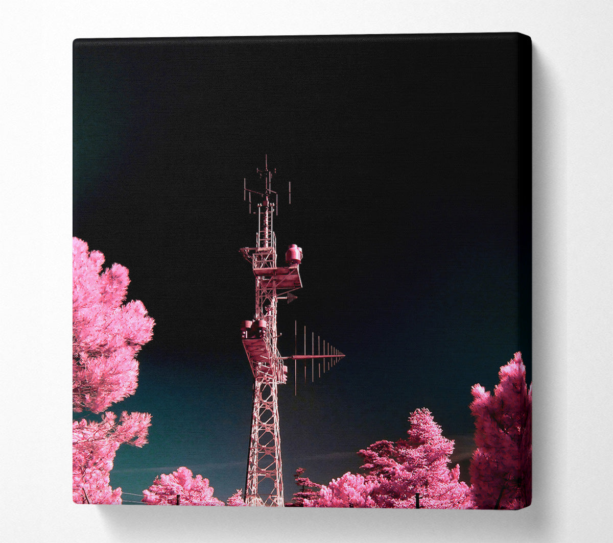 Pink Antenna Forest Canvas Wall Art