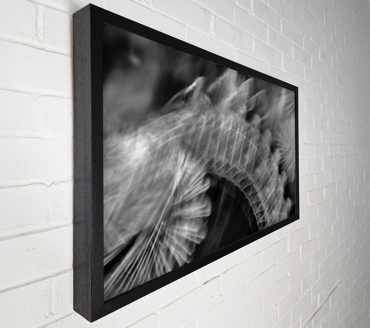 White Feather Fade Canvas Wall Art