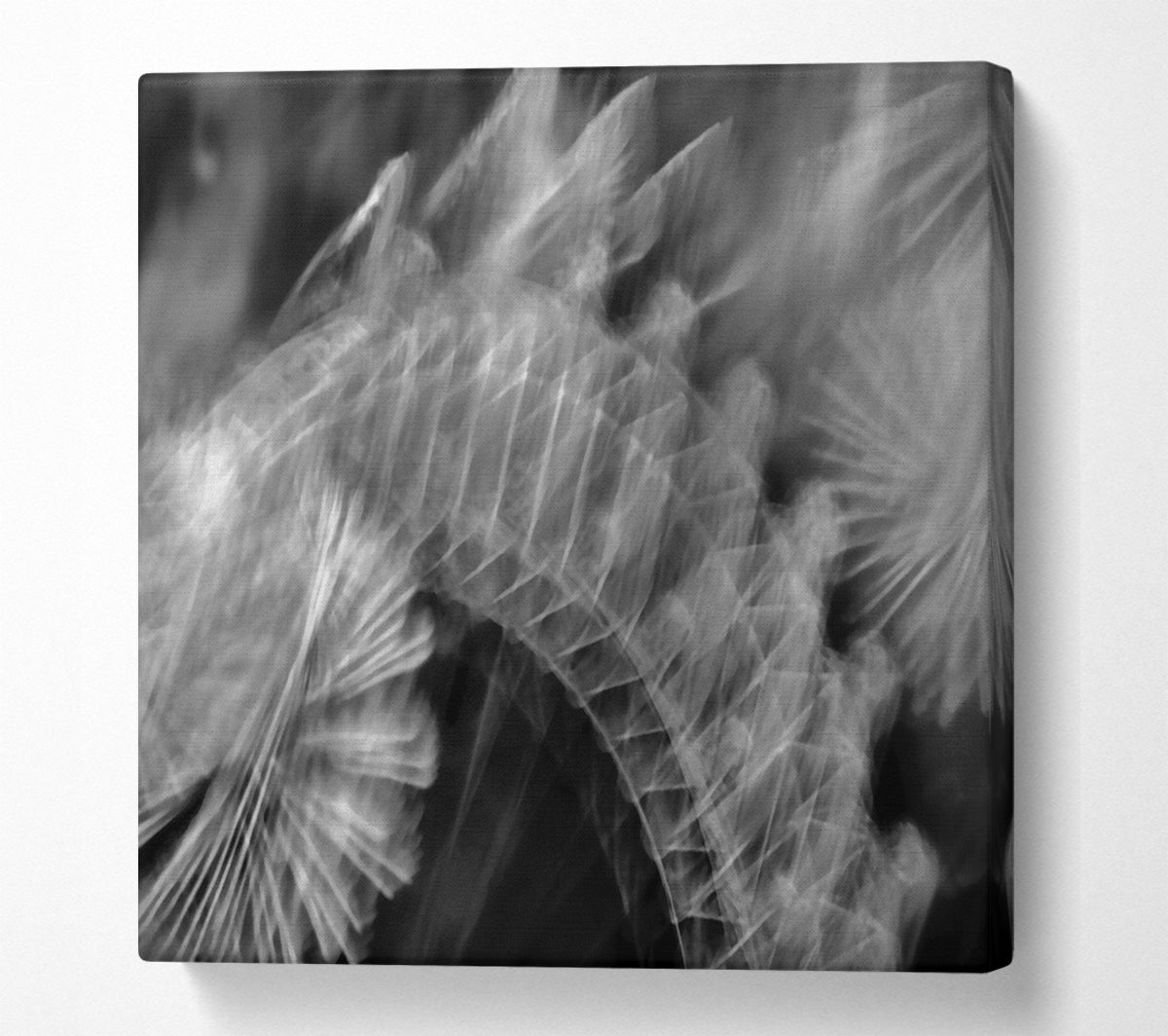 White Feather Fade Canvas Wall Art