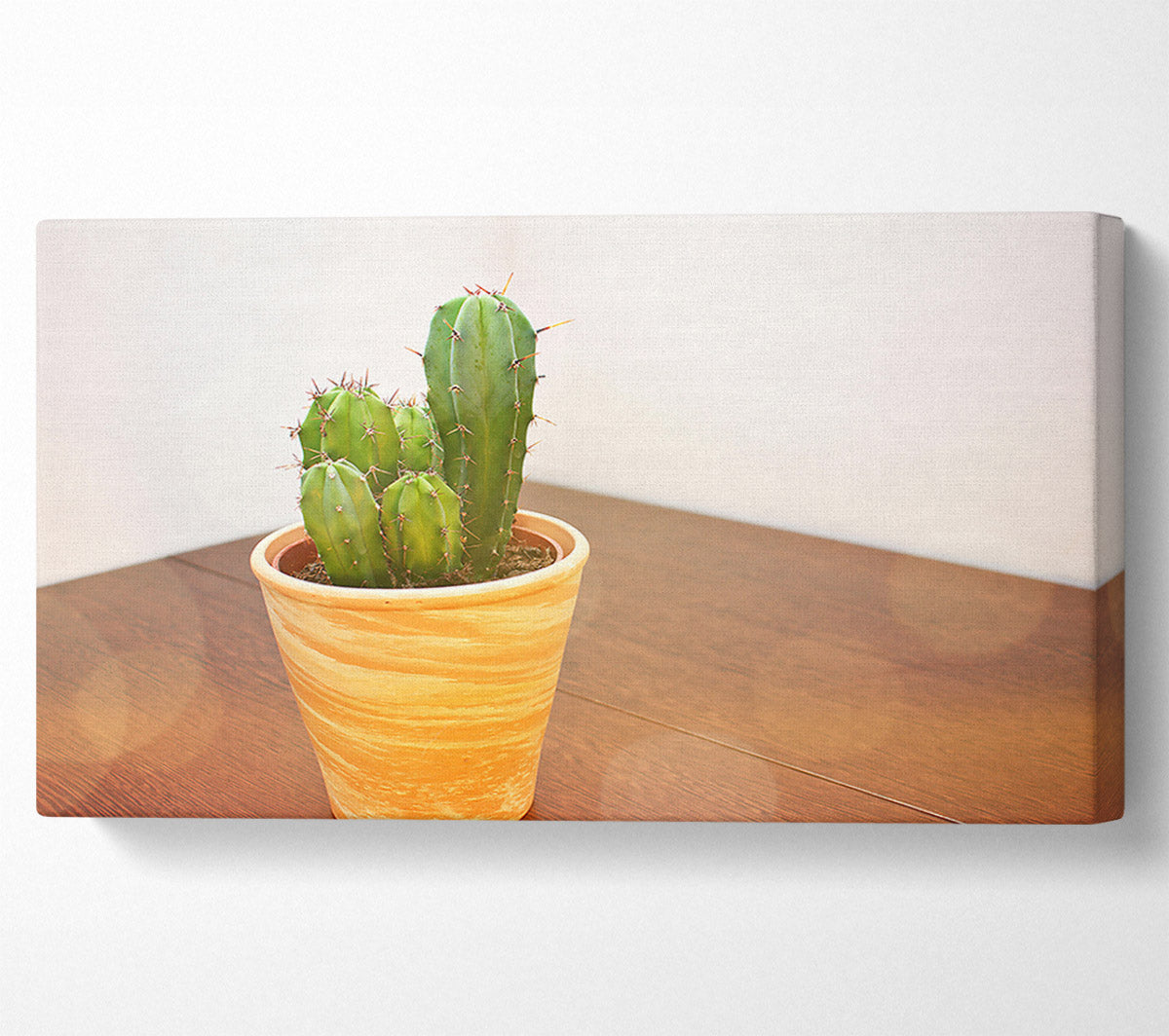 Terracotta Cactus Cluster Canvas Wall Art