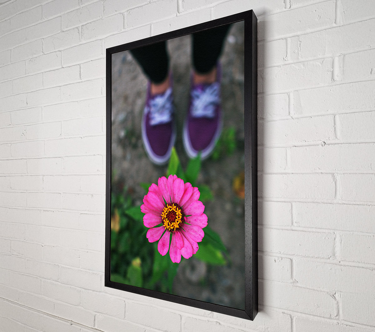 Purple And Pink Bloom Canvas Wall Art