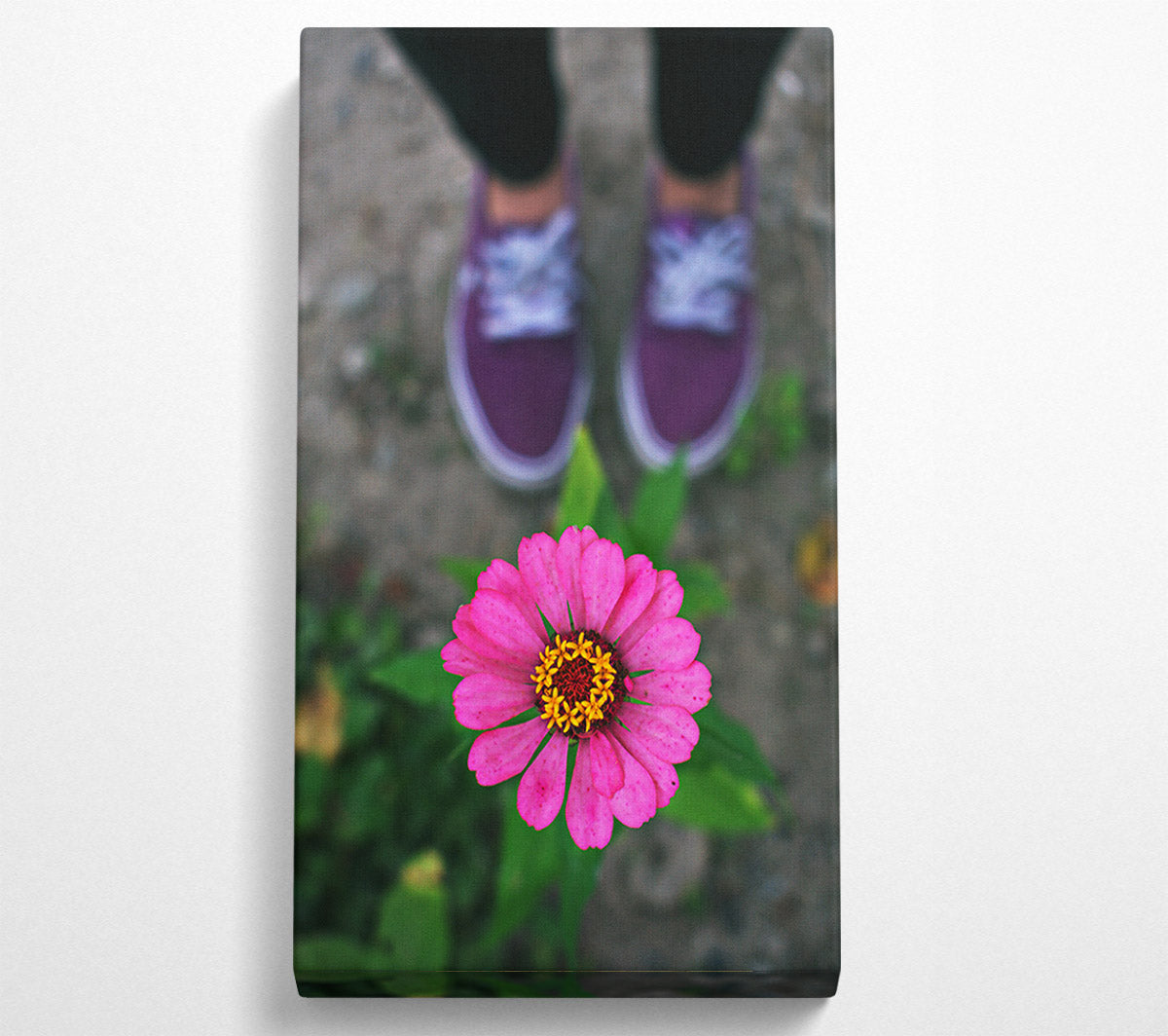 Purple And Pink Bloom Canvas Wall Art