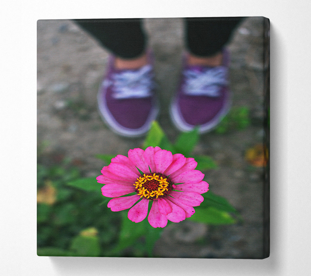 Purple And Pink Bloom Canvas Wall Art