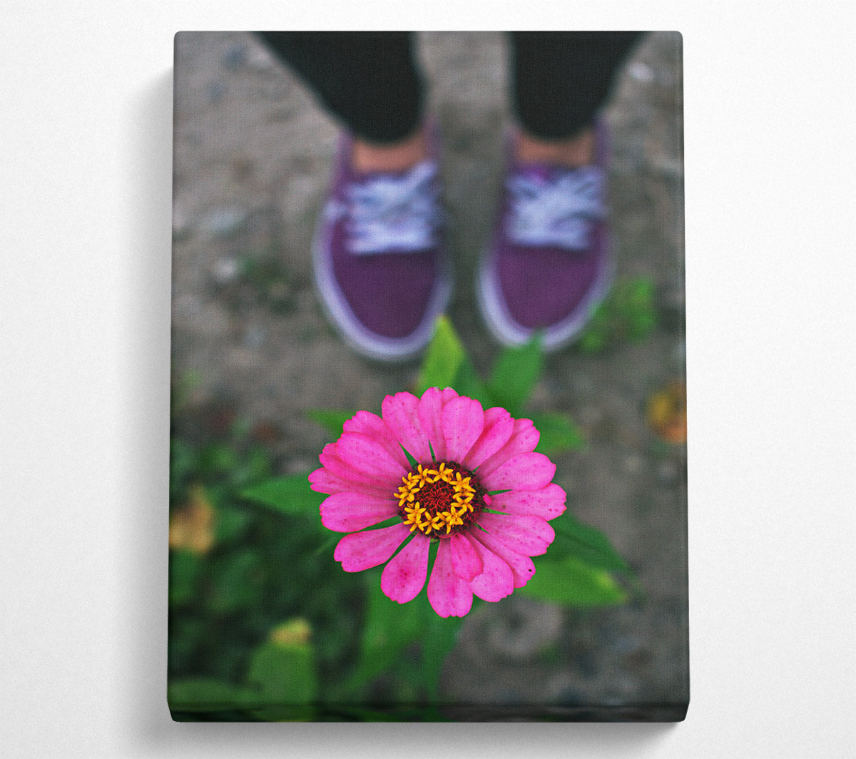 Purple And Pink Bloom Canvas Wall Art