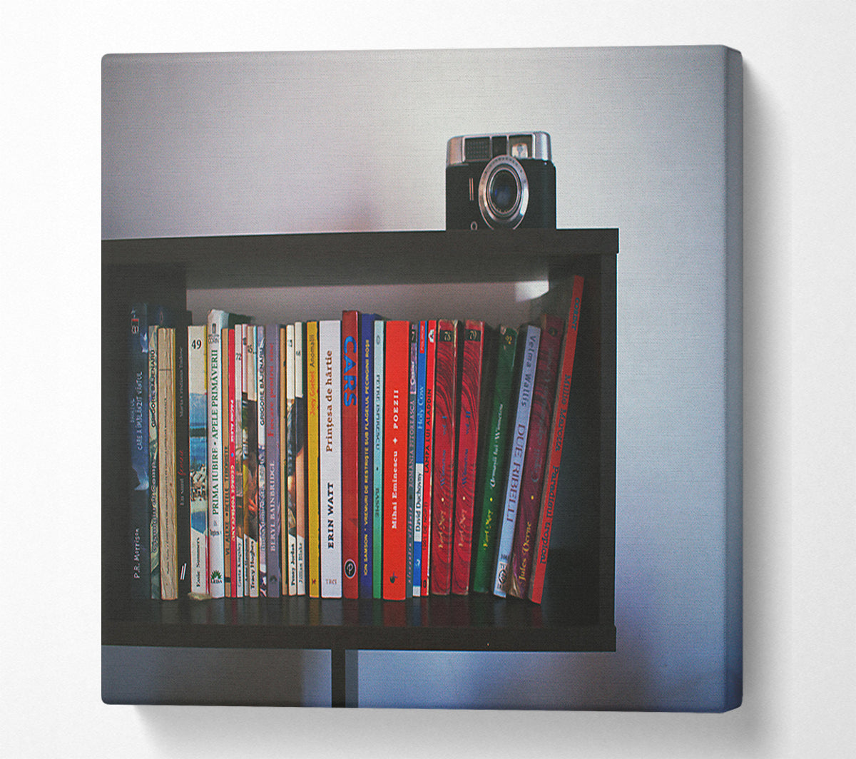 Red Bookshelf Memories Canvas Wall Art