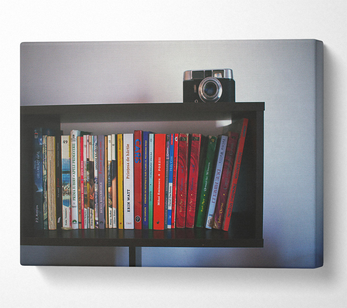 Red Bookshelf Memories Canvas Wall Art