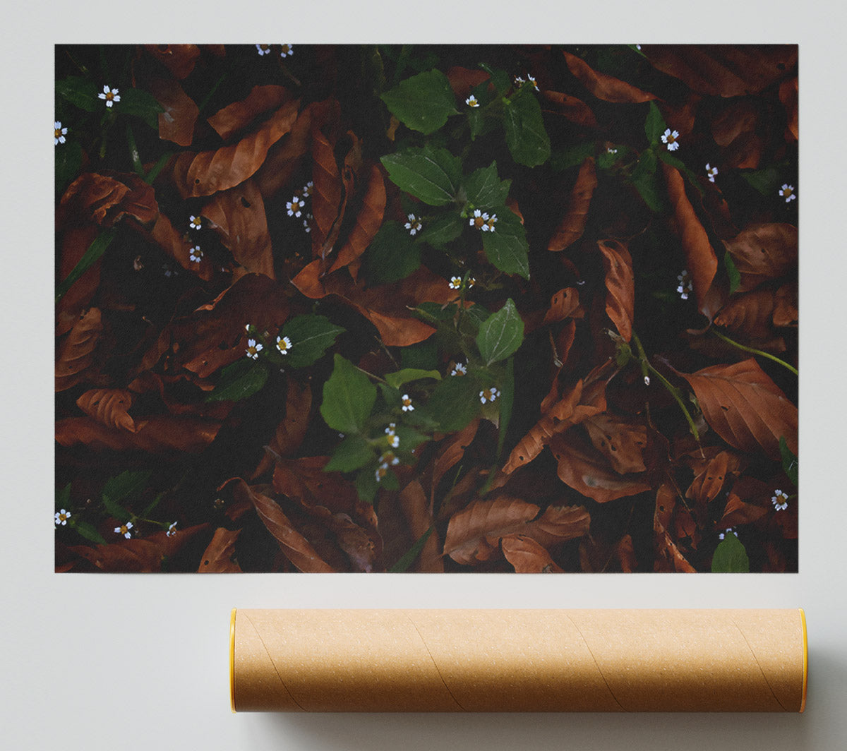 Brown Leaves And White Blooms. Print