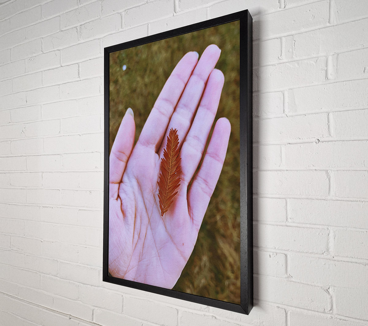 Russet Leaf In Palm Canvas Wall Art