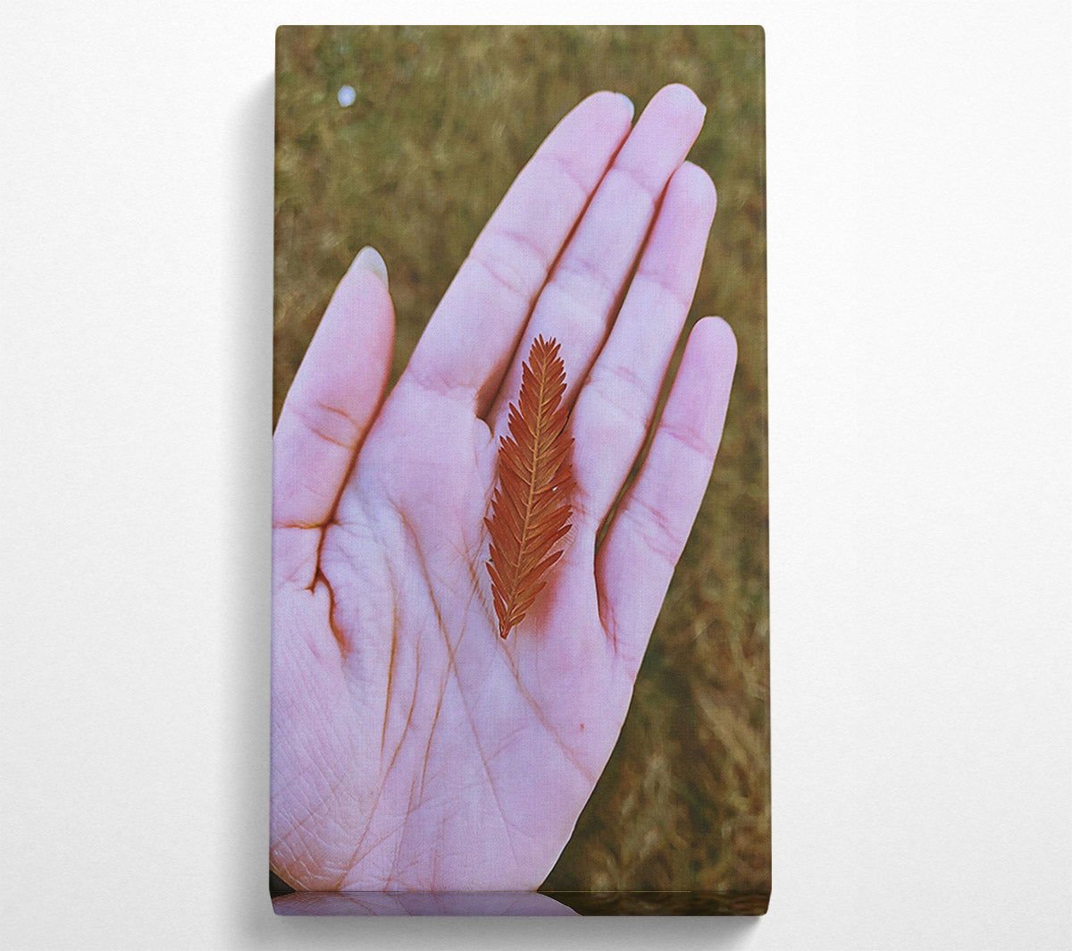 Russet Leaf In Palm Canvas Wall Art