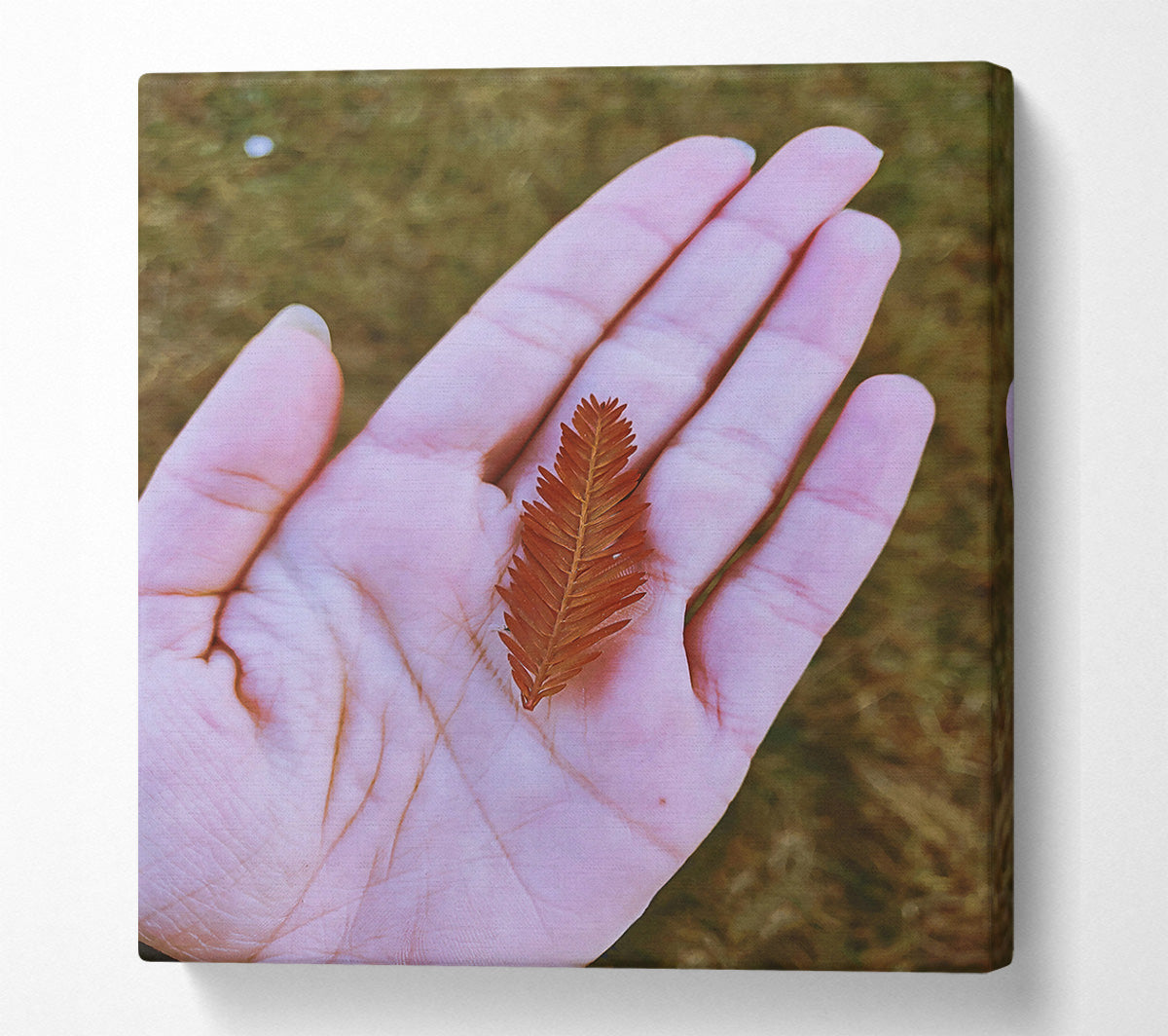 Russet Leaf In Palm Canvas Wall Art