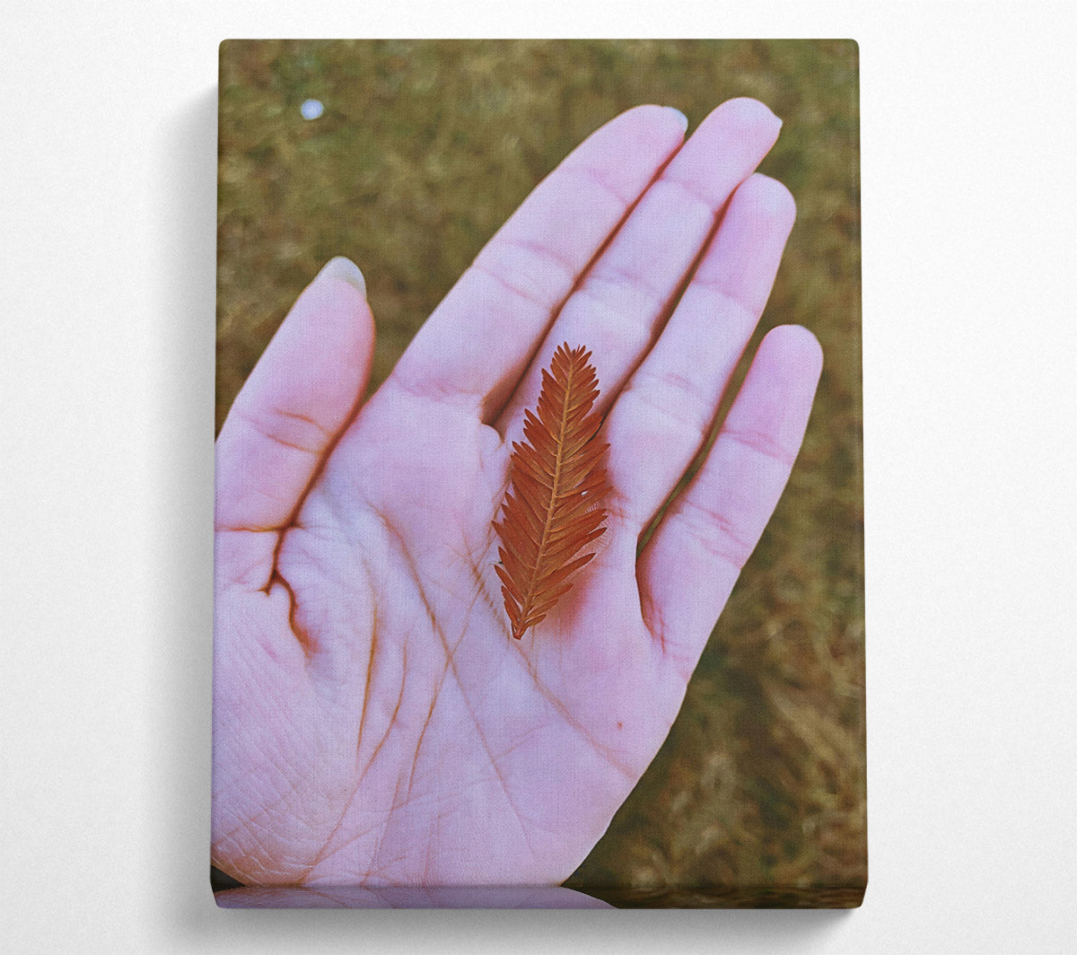 Russet Leaf In Palm Canvas Wall Art