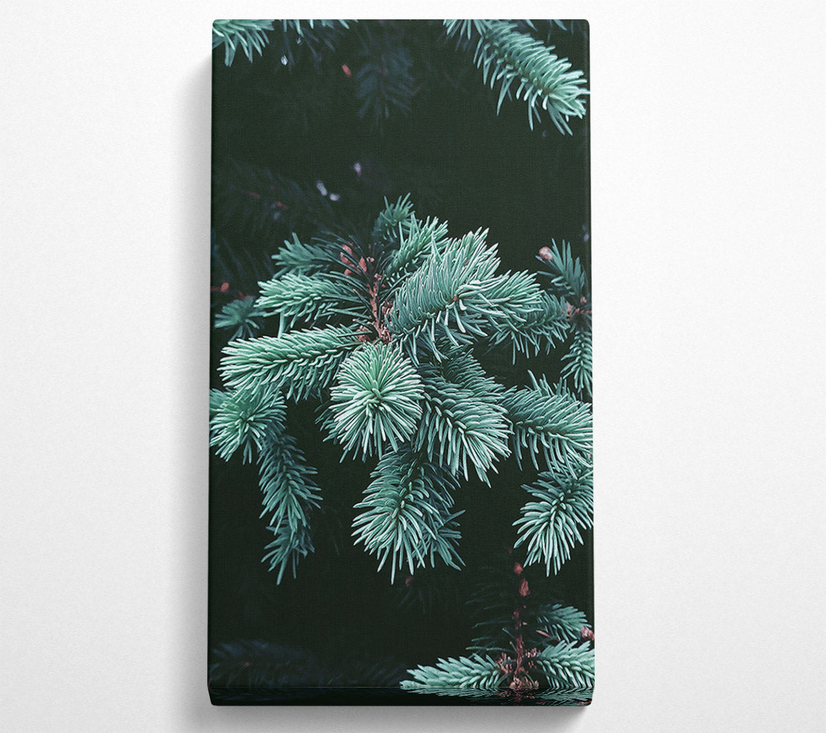 Teal Pine Sprigs Canvas Wall Art